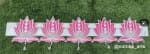 Pink Lotus Toran – White Banner with Five Lotus Pendants - view 1